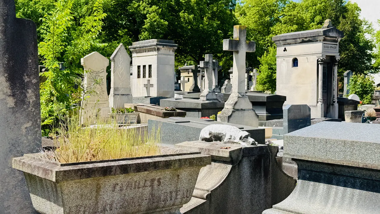 IMG_2865