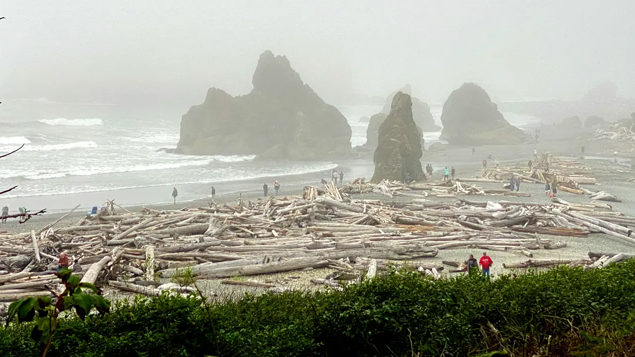 IMG_4391
