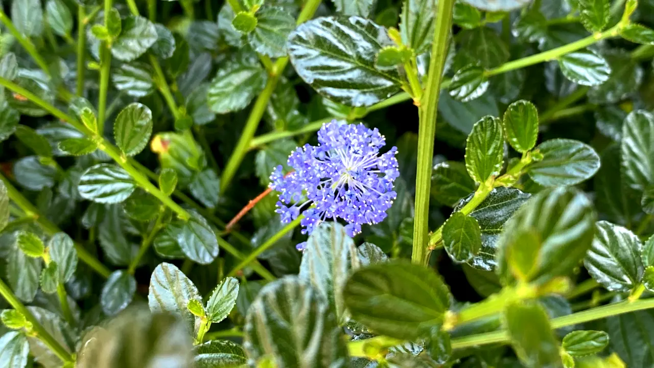 IMG_4397